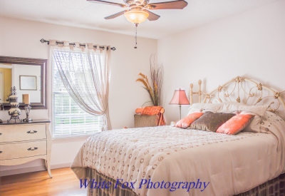 White Fox Photography  Image