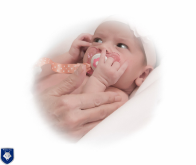 White Fox Photography  Image