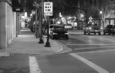 White Fox Photography  Image