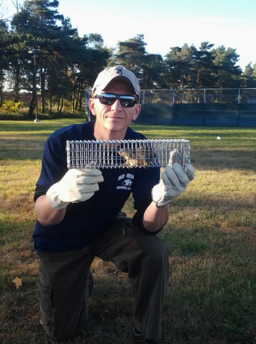 Grand Wildlife Control Image