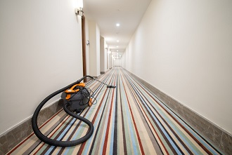 Dothan Carpet Cleaning Logo