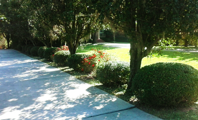 All-Stars Landscaping & Handyman Services LLC Image