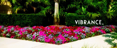 All-Stars Landscaping & Handyman Services LLC Image