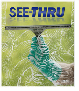 See-Thru Window Cleaning Image