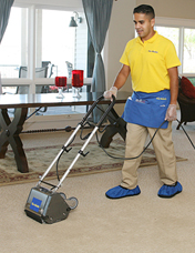 The Maids Home Service Image