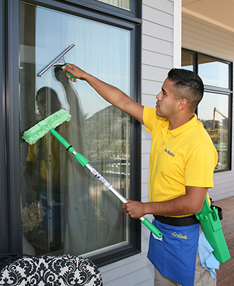 The Maids Home Service Image