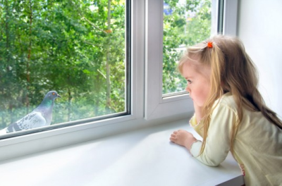 Hudson Valley Windows & Siding Image