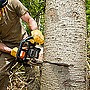 JPC Tree Care Image
