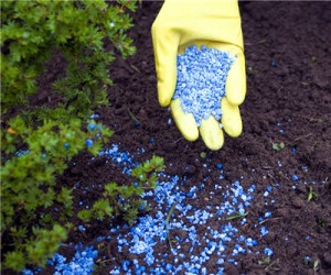 Sergio's Lawn Services Image