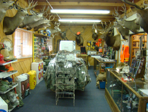 Powder River Taxidermy Image