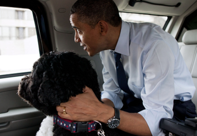 President's Livery Service Image