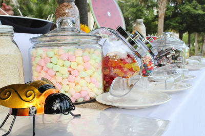 Melodic Entertainment Image