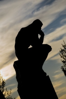 TTF Wealth Management Image