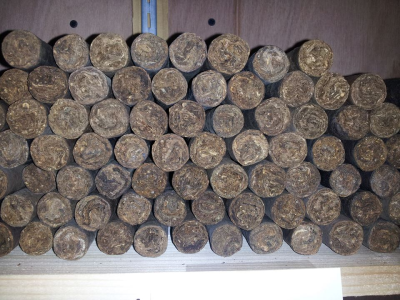 El Patron Cigar Lounge Image