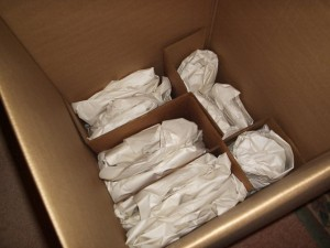 Ashline Local Moving Image