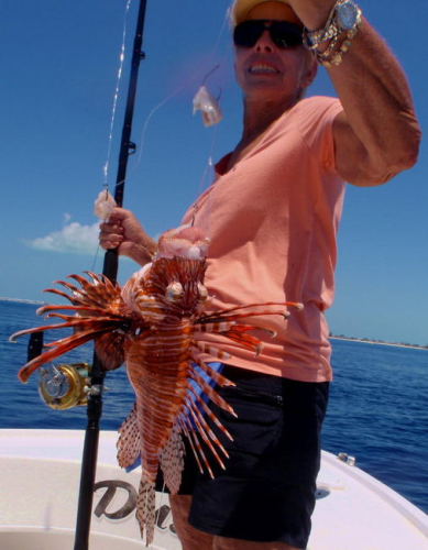 Bouncers Dusky 33 Image