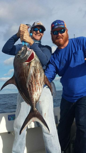 Bouncers Dusky 33 Image