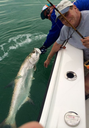 Bouncers Dusky 33 Image