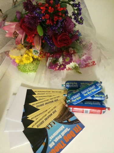 Fit Dog Theory Image