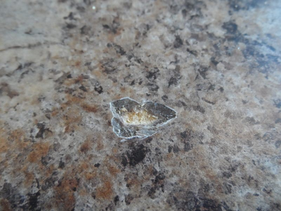 Colorado Professional Repair Image