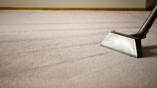 Modern Carpet Cleaning Inc Image