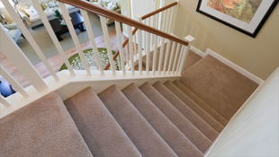 Modern Carpet Cleaning Inc Image