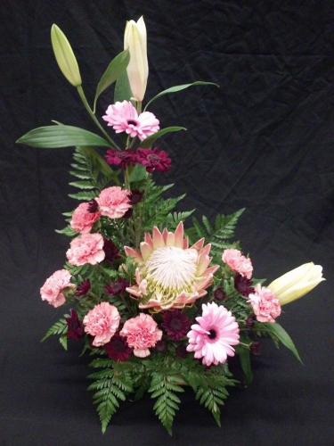 Adam's Arrangements Image