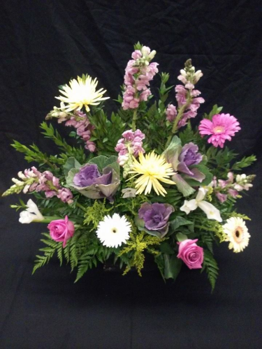 Adam's Arrangements Image