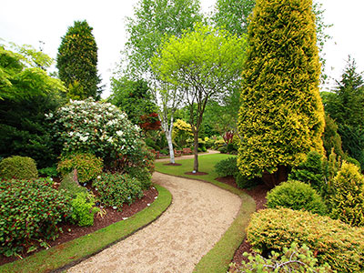 Staying Green, Inc. Image