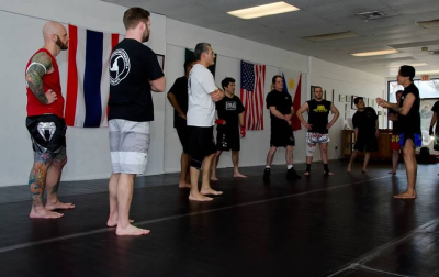 Modern Fighting Concepts Image