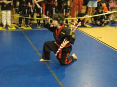 Modern Fighting Concepts Image