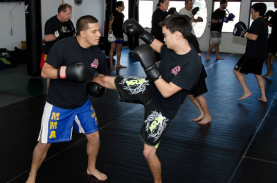 Modern Fighting Concepts Image