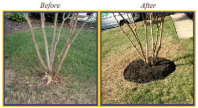 First Step Landscaping & Home Improvement Image
