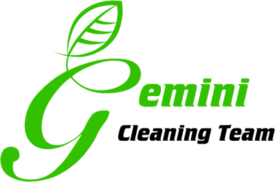 Gemini Cleaning Team Logo
