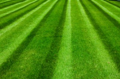 Rose Valley Landscaping Image