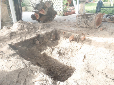 Rose Valley Landscaping Image