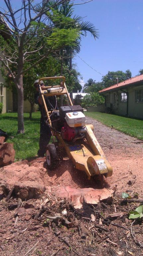 Rose Valley Landscaping Image