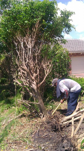 Rose Valley Landscaping Image