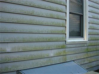 Southern Style Pressure Wash Image