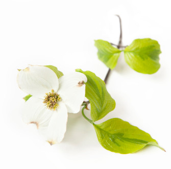 Regency Home Care of North Atlanta Image