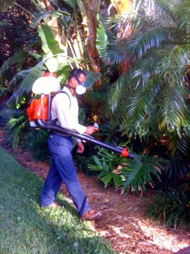 Florida Environmental Pest Solutions Image