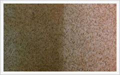 SOS Cleaning & Restoration Image