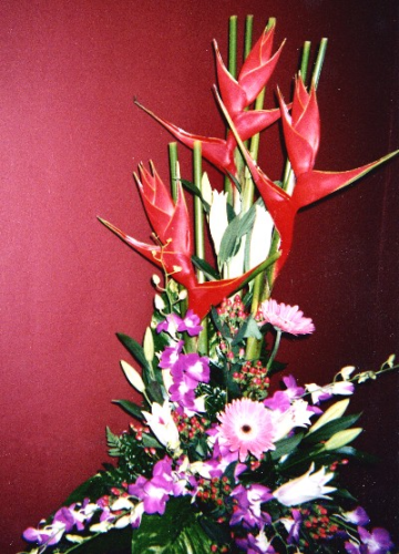 Coral Gables Florist Designed by Rick Image