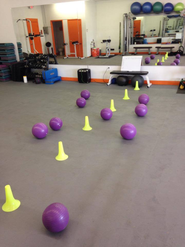 New You Fitness Image