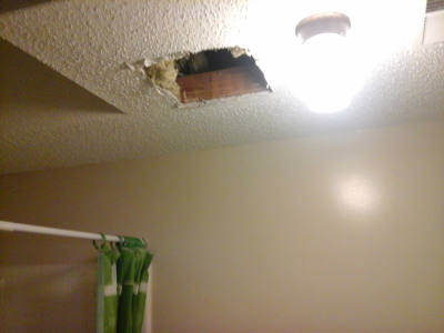 AA Carpet Cleaning and Handyman Service Image