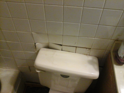 AA Carpet Cleaning and Handyman Service Image