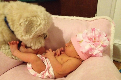 A Loving Touch Doula Care LLC Image