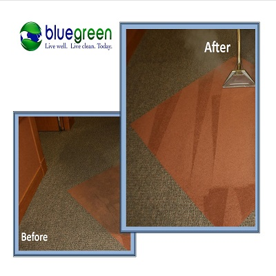 Bluegreen Carpet & Tile Cleaning Image
