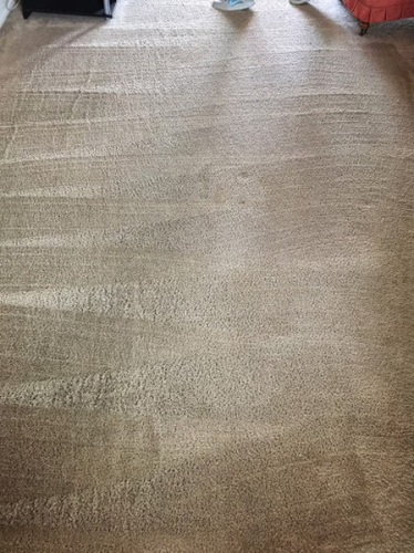 Organic Dry Carpet Cleaning Logo