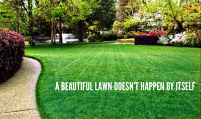 LawnMasters Image